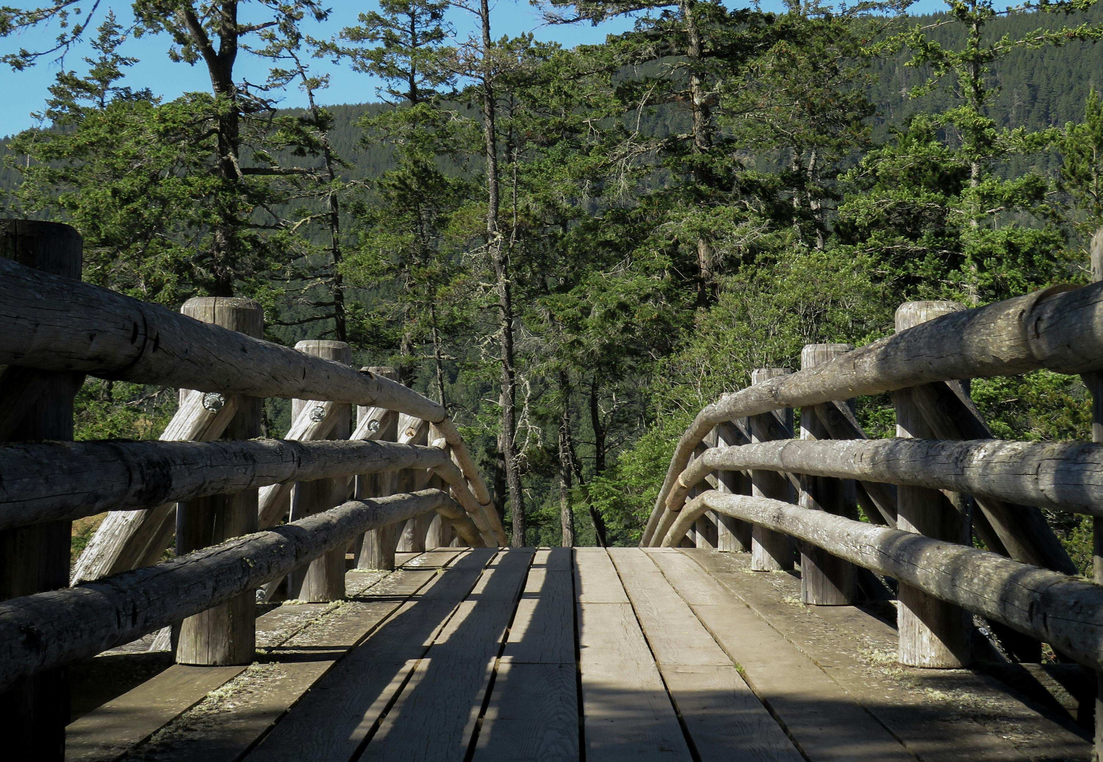 Orcas Island landscape